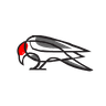 ResumeRavenPro logo